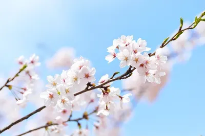 송제한의원 — 업체가 네이버 플레이스에 올린 사진 1