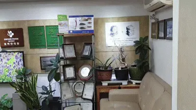 모란경희한의원 — 업체가 네이버 플레이스에 올린 사진 1
