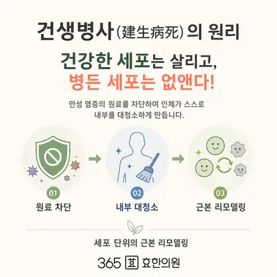 365효 한의원 — 업체가 네이버 플레이스에 올린 사진 2