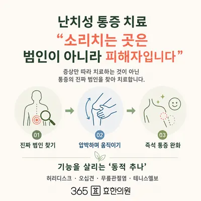 365효 한의원 — 업체가 네이버 플레이스에 올린 사진 3