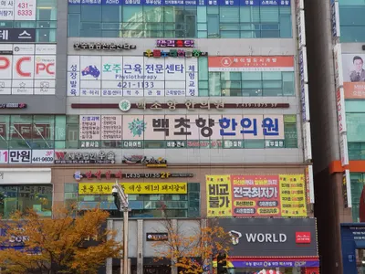 백초향한의원 — 업체가 네이버 플레이스에 올린 사진 1