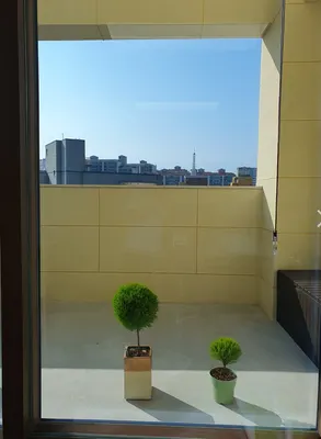 365매일한방병원 — 업체가 네이버 플레이스에 올린 사진 2