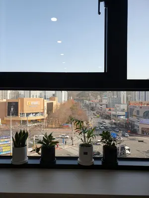 365매일한방병원 — 업체가 네이버 플레이스에 올린 사진 3