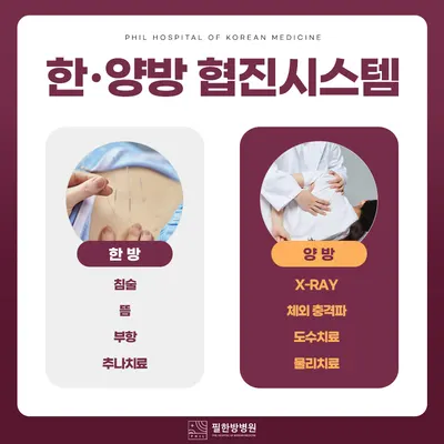 필한방병원 — 업체가 네이버 플레이스에 올린 사진 3