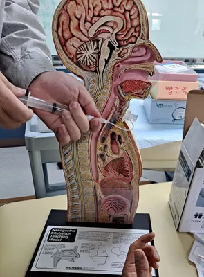 친한의원 — 업체가 네이버 플레이스에 올린 사진 3