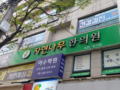 자연나무한의원 — 업체가 네이버 플레이스에 올린 사진 1