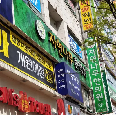 자연나무한의원 — 업체가 네이버 플레이스에 올린 사진 2