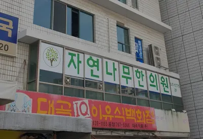 자연나무한의원 — 업체가 네이버 플레이스에 올린 사진 3