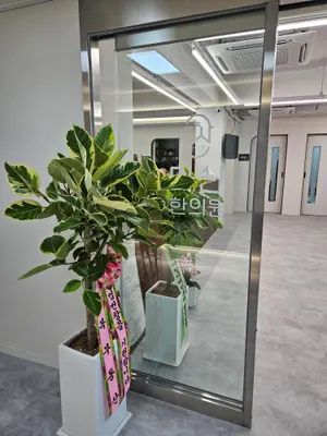 다산한의원 — 업체가 네이버 플레이스에 올린 사진 2
