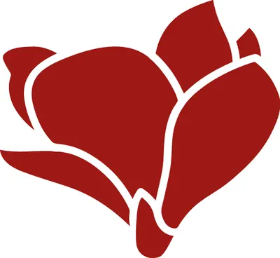 경희동의보감한의원 — 업체가 네이버 플레이스에 올린 사진 1
