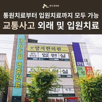 양지한의원 — 업체가 네이버 플레이스에 올린 사진 2