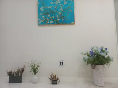 당신한의원 — 업체가 네이버 플레이스에 올린 사진 2