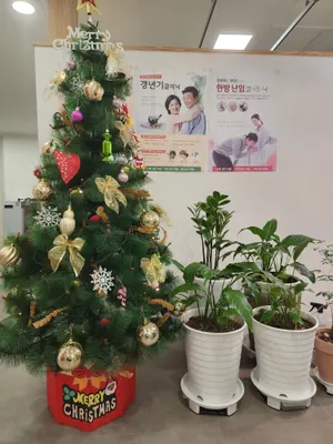 경희당한의원 — 업체가 네이버 플레이스에 올린 사진 2